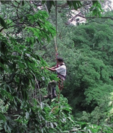 2-5_ecologia-vegetal__factores