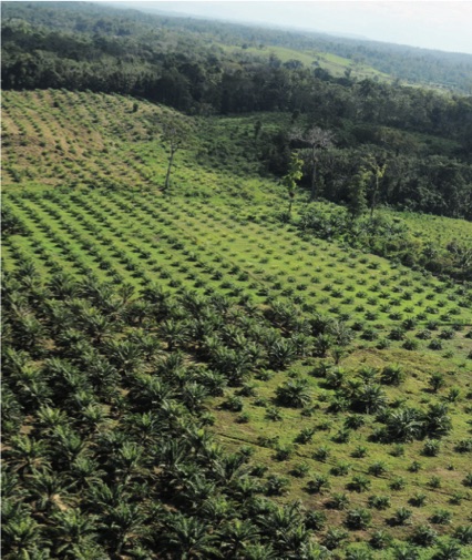 3-2_caracteristicas-socioeconomicas_mcomillas