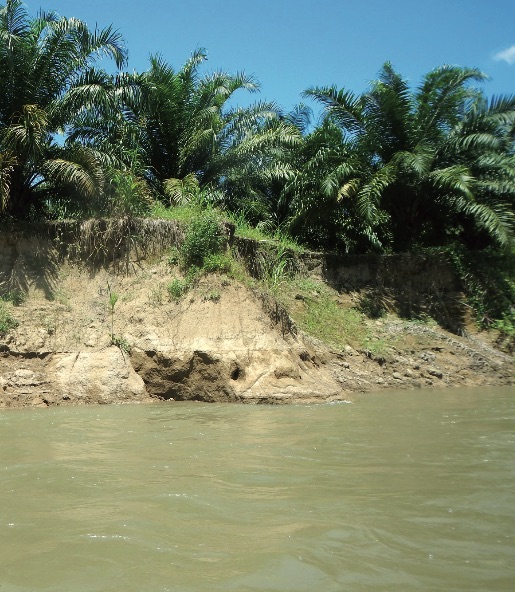 4-3_calidad-ecosistemas-acuaticos_sublacantun