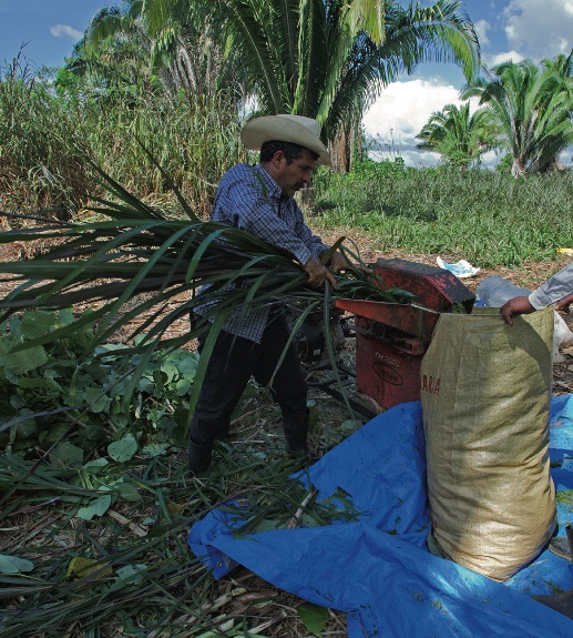 5-6_reconversion_productiva