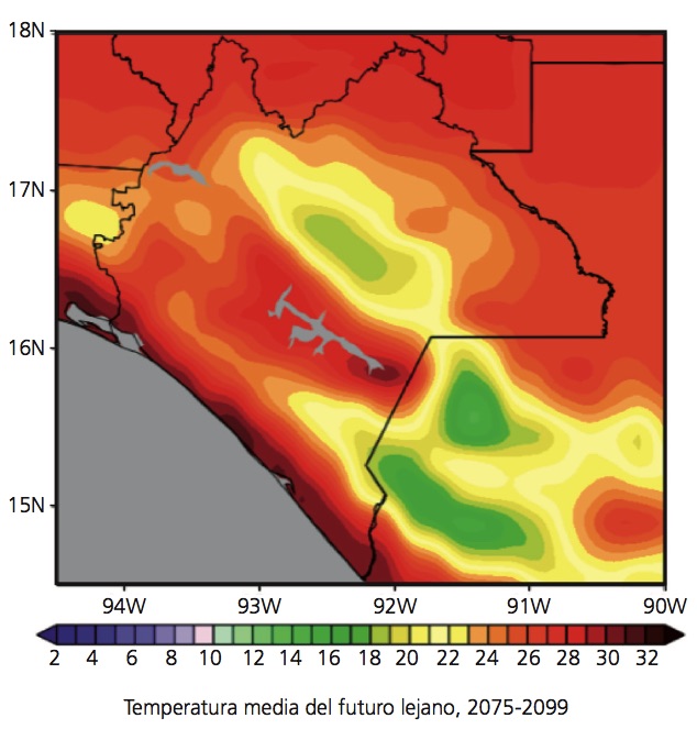 6-1_adaptacion-cclimatico_bottom-up