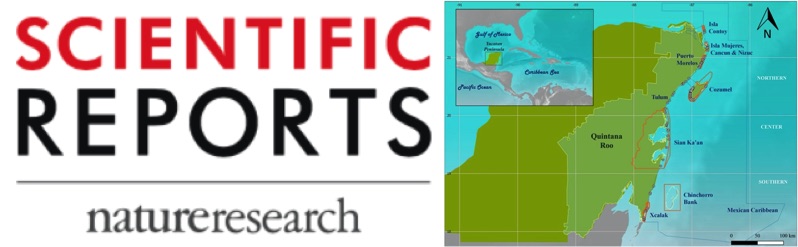 A meta-analysis to assess longterm spatiotemporal changes of benthic coral and macroalgae cover in the Mexican Caribbean