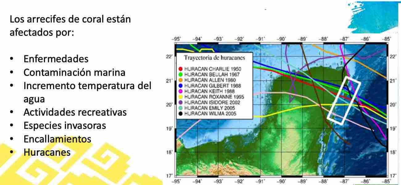 Conservación de arrecifes de coral