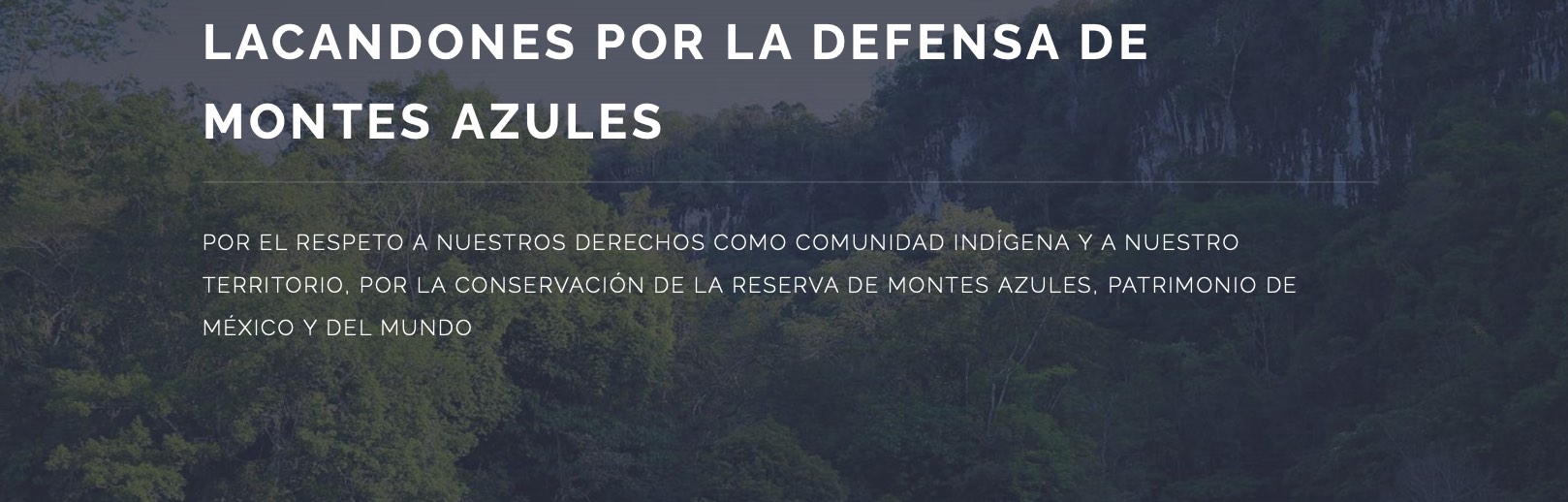 Lacandones por la defensa De Montes Azules